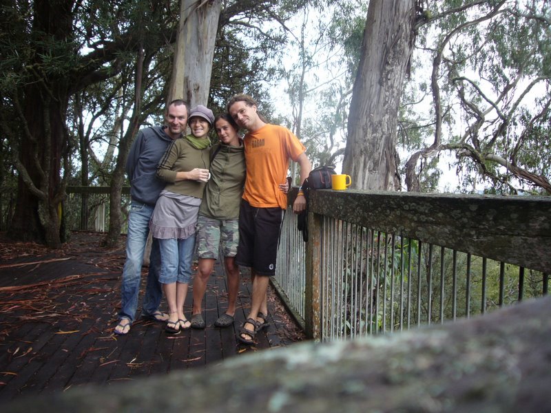Onwards to Bellingen